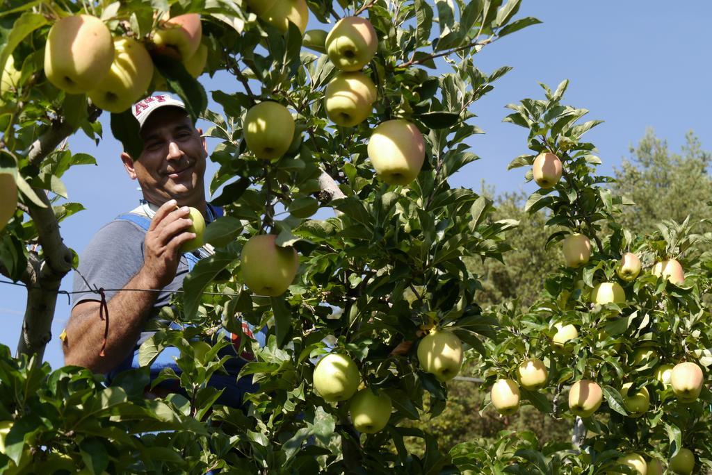 Ferienbauernhof Masunerhof Fiè Εξωτερικό φωτογραφία