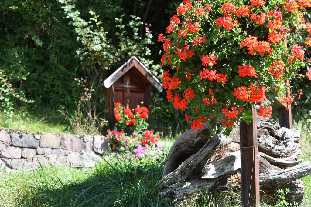 Ferienbauernhof Masunerhof Fiè Εξωτερικό φωτογραφία