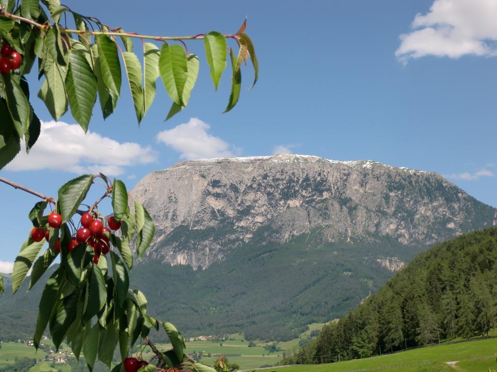 Ferienbauernhof Masunerhof Fiè Δωμάτιο φωτογραφία